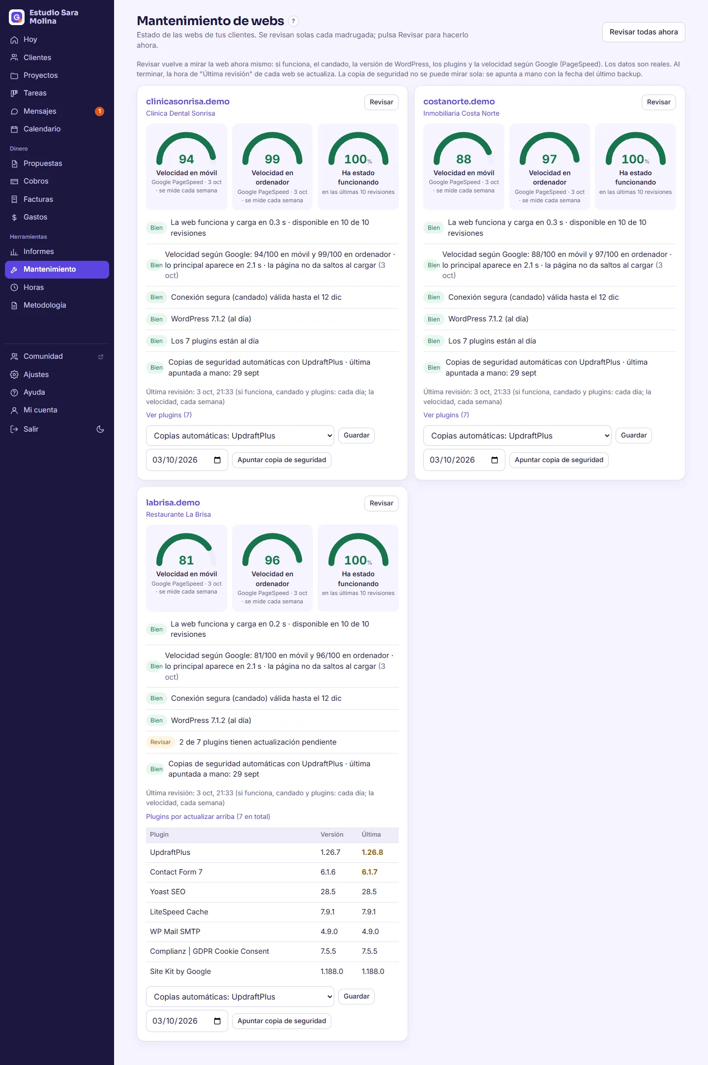 Mantenimiento de webs con velocidad y estado